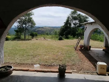 Farm & Agricultural Land