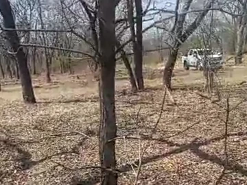 Farm & Agricultural Land