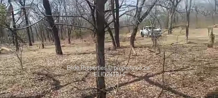 1,130ha Gokwe Farm — Gravel Roads, Grazing & Kraal (Sole Mandate)