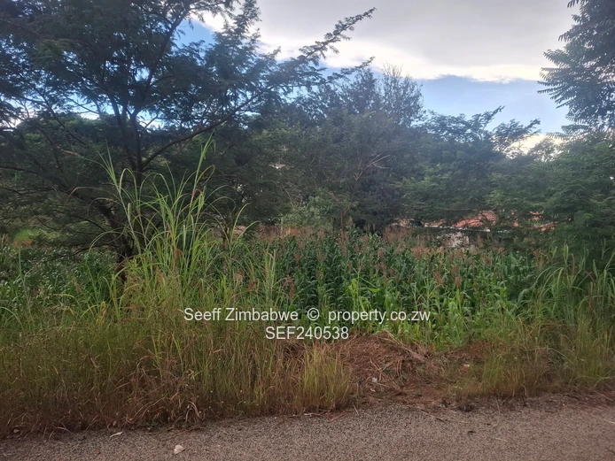 2,200sqm with Title Deed (Sole Mandate)