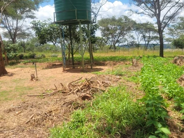 Farm & Agricultural Land