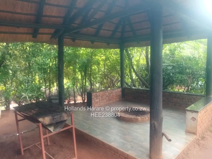 Avondale commercial property.