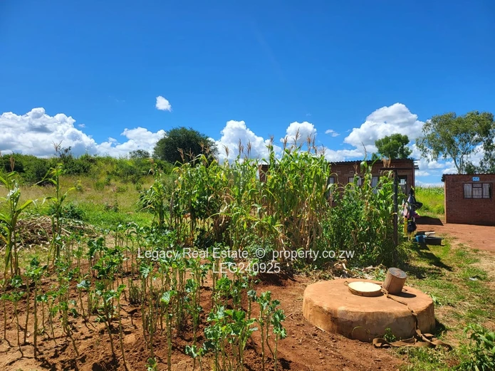 Granary Phase 3 Extension: 300 sqm Stand with Built-Up Area for Sale