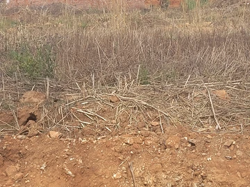 Prime 2000m² Residential Land in Waterfalls, Harare South