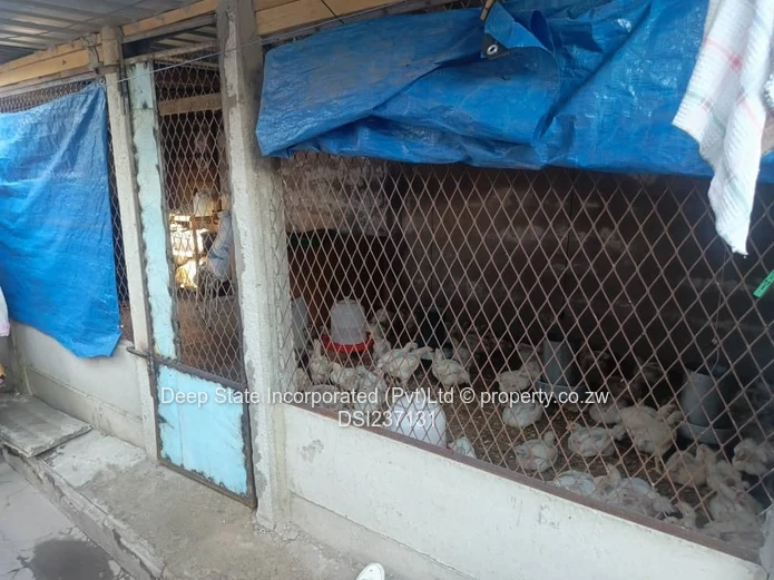 Highfields house for sale (western triangle)