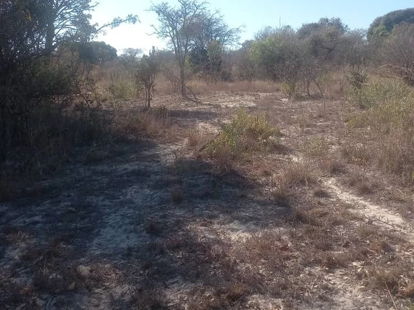Farm & Agricultural Land
