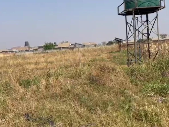 Stands & Residential Land