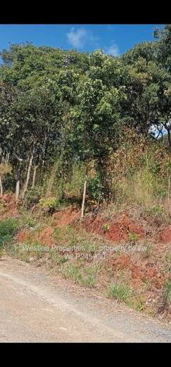 An opportunity not to miss