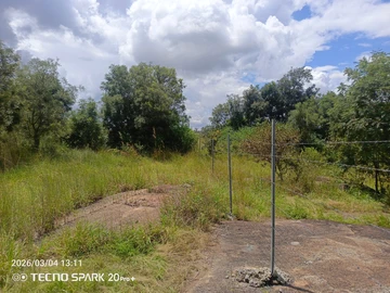 Farm & Agricultural Land