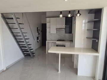 Flat & Apartment