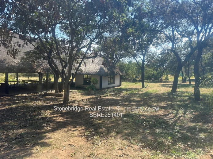 Prime 1 Acre Corner stand in Burnside for sale