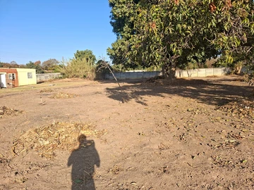 Stands & Residential Land