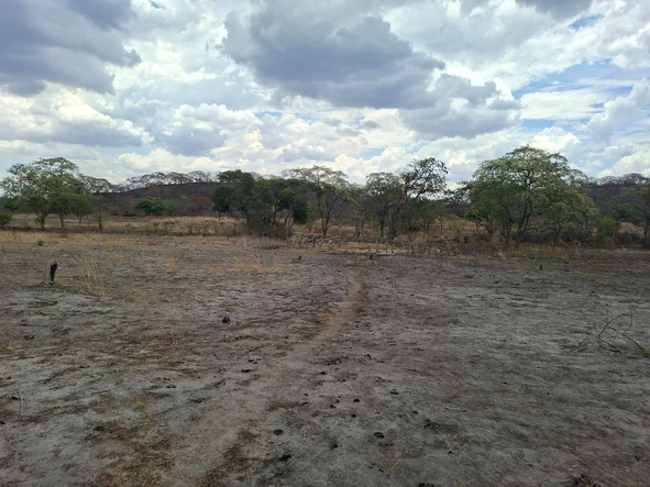 Farm & Agricultural Land