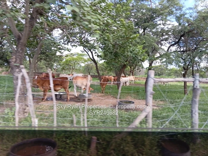 Beatrice Farm For Sale 