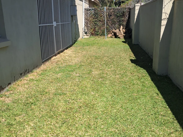 14 Unit Townhouse Complex