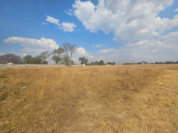 Stands & Residential Land