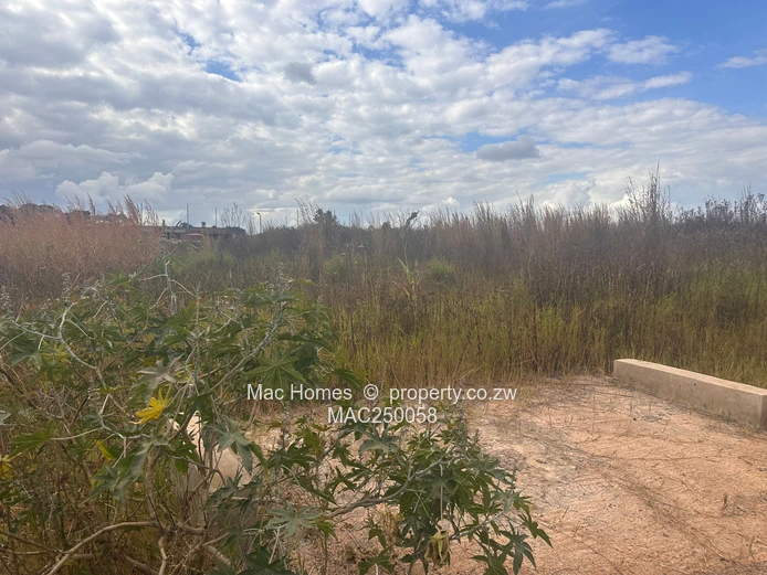 Stand for sale in Nyeredzi Ridge