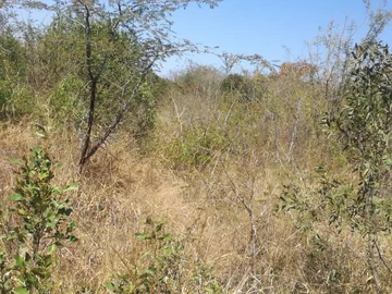 Farm & Agricultural Land