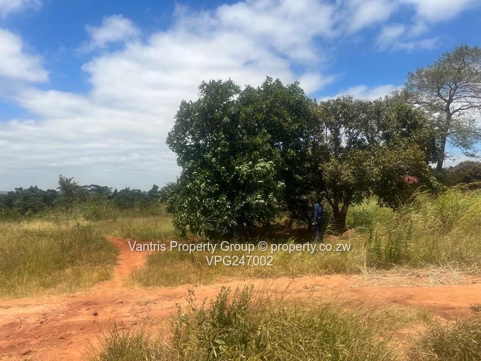 Prime 2,000m² - 3449sqm  — Whitecliff Residential Stands with payment terms 