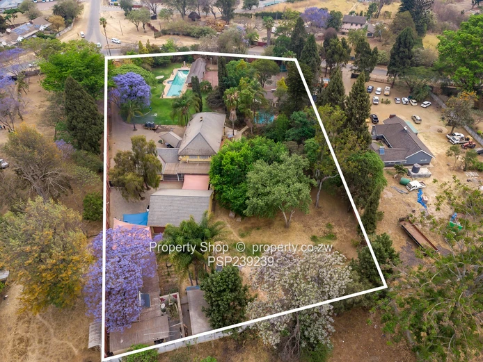 The Ultimate All-in-One Experience