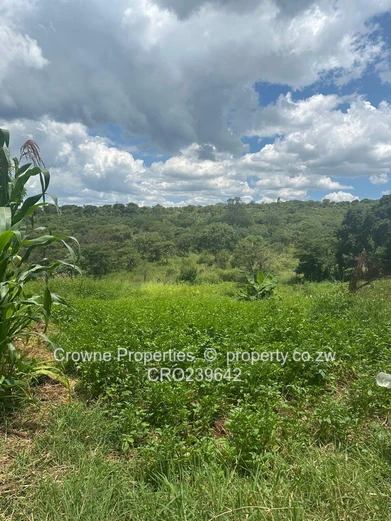 Residential Stand For Sale