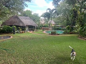 Lovely property with main house, cottage and bedsitter