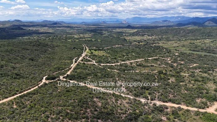 Nyanga Agricultural Plots