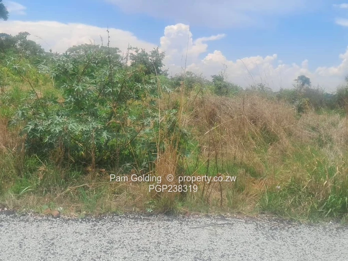 Perfect Agro-Residential Plot (Sole Mandate)