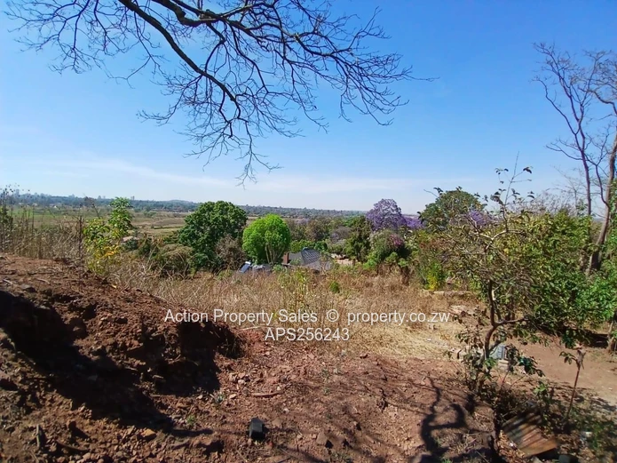 6936 Square Meters Of Land! 
