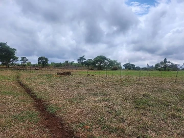 Farm & Agricultural Land