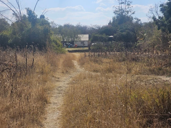 Commercial & Industrial Land