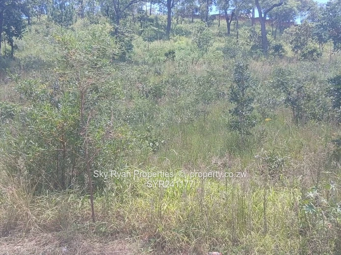 Carrick Creagh Borrowdale Stand For Sale