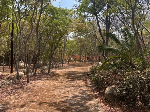 5 Bedroom Farm & Agricultural Land