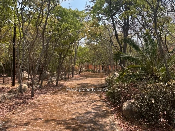 Luxury Farm Property For Sale