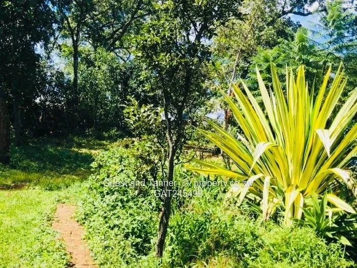 Renovator’s dream in Gletwyn, Harare North, priced at $375 000