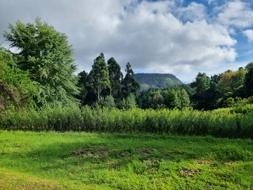 Farm & Agricultural Land