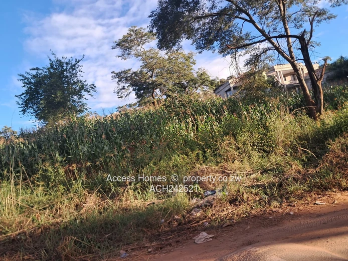 Gletwin  (Sole Mandate)