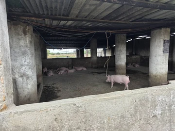 Farm & Agricultural Land