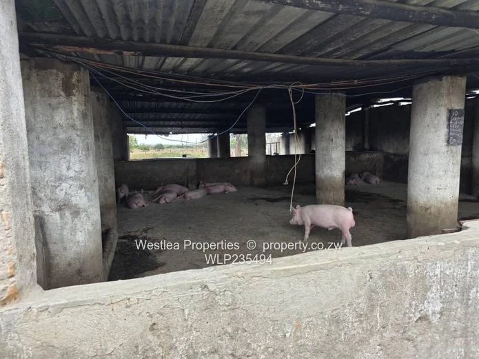 An opportunity not to miss