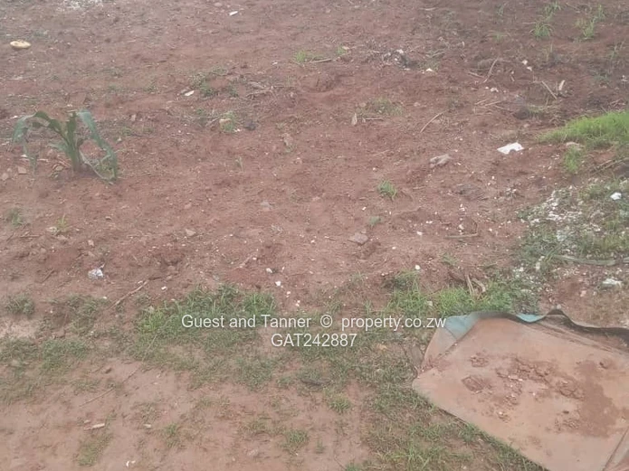 Stand For Sale In Granary Park Phase 2