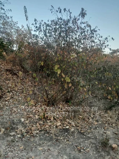 Chegutu Plots For Sale X4