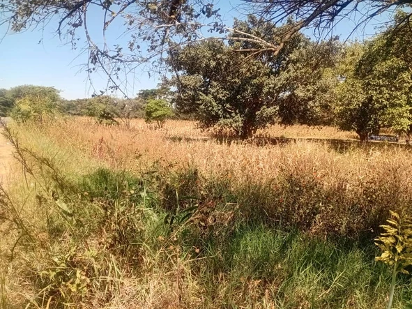 Stands & Residential Land