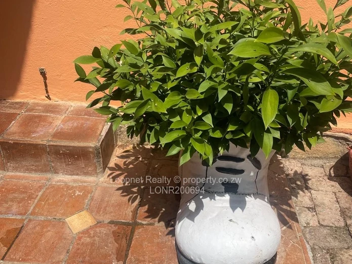 Luxurious Farmhouse Estate in Ruwa, Harare