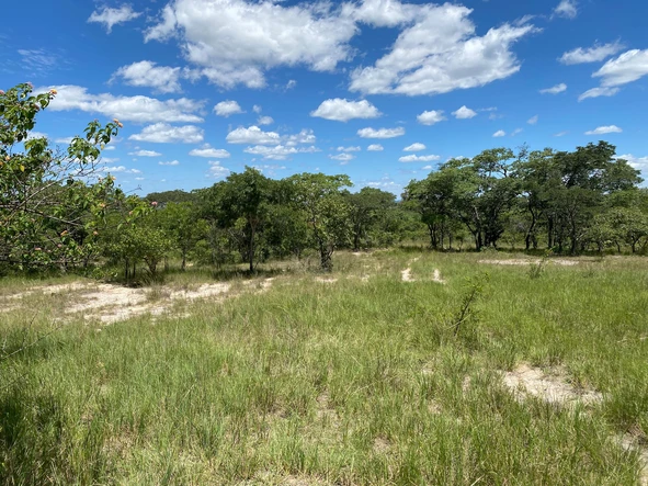 Farm & Agricultural Land