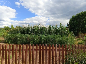 Farm & Agricultural Land