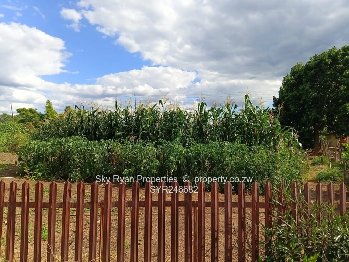 Beatrice Farm For Sale 