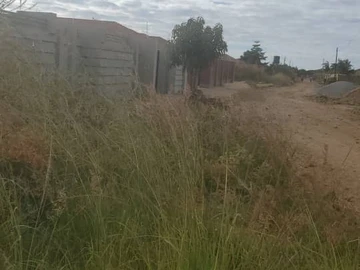 Stands & Residential Land