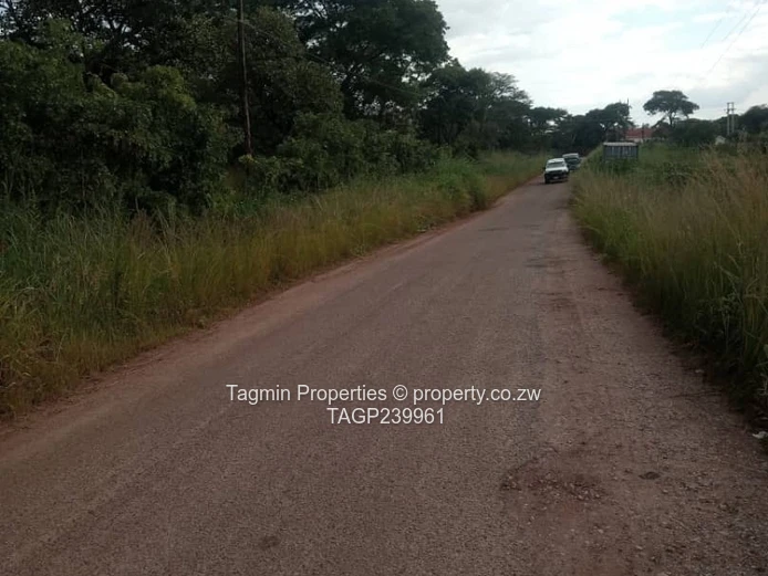 Shawasha hills stand