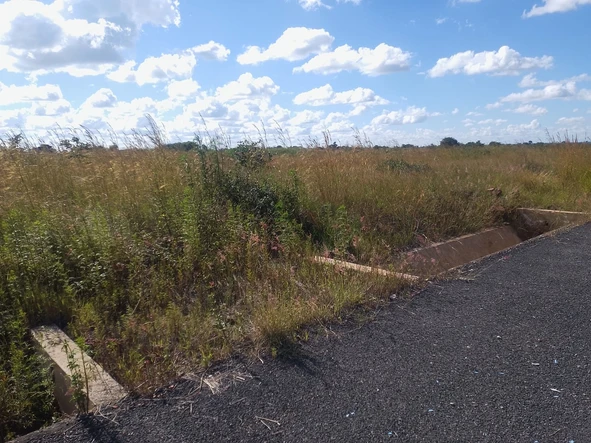 Stands & Residential Land