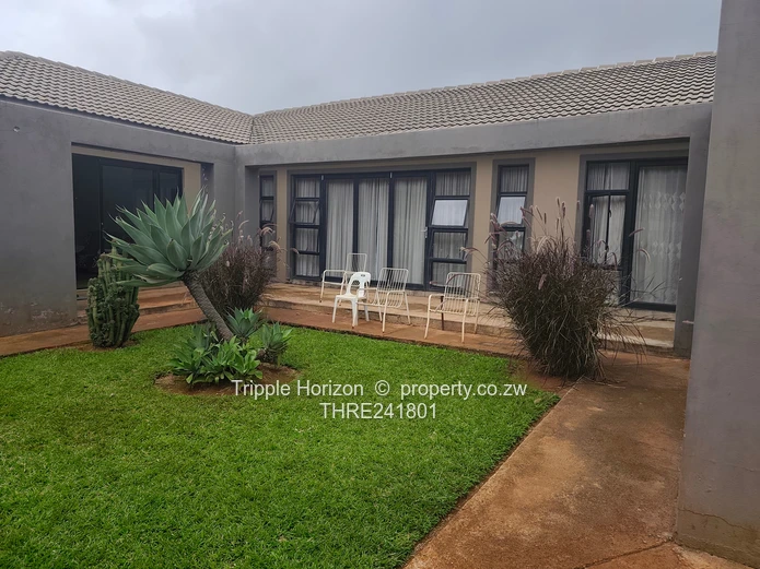 Borrowdale- Sam Levy (Sole Mandate)